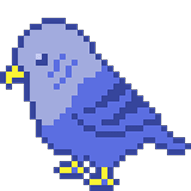 bird