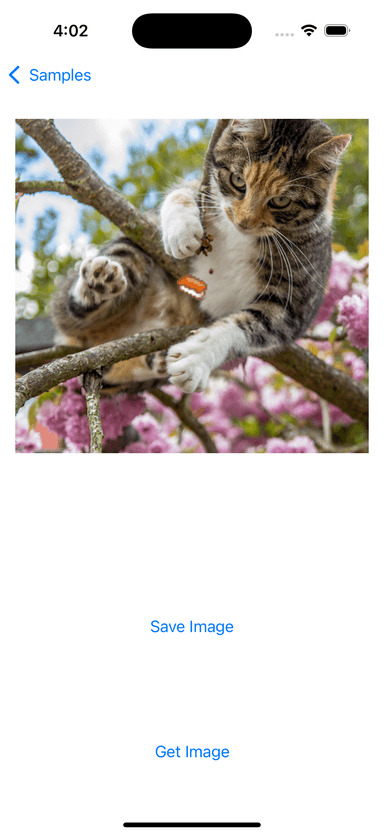 swift_samples/swift-samples-2.png