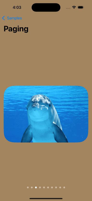 swift_samples/swift-samples-5.png